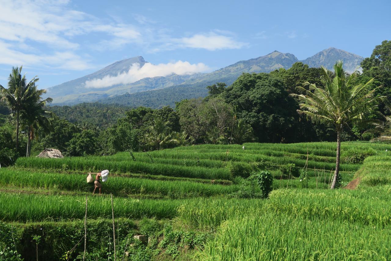 Budaya Kaki Rinjani Senaru Eksteriør billede