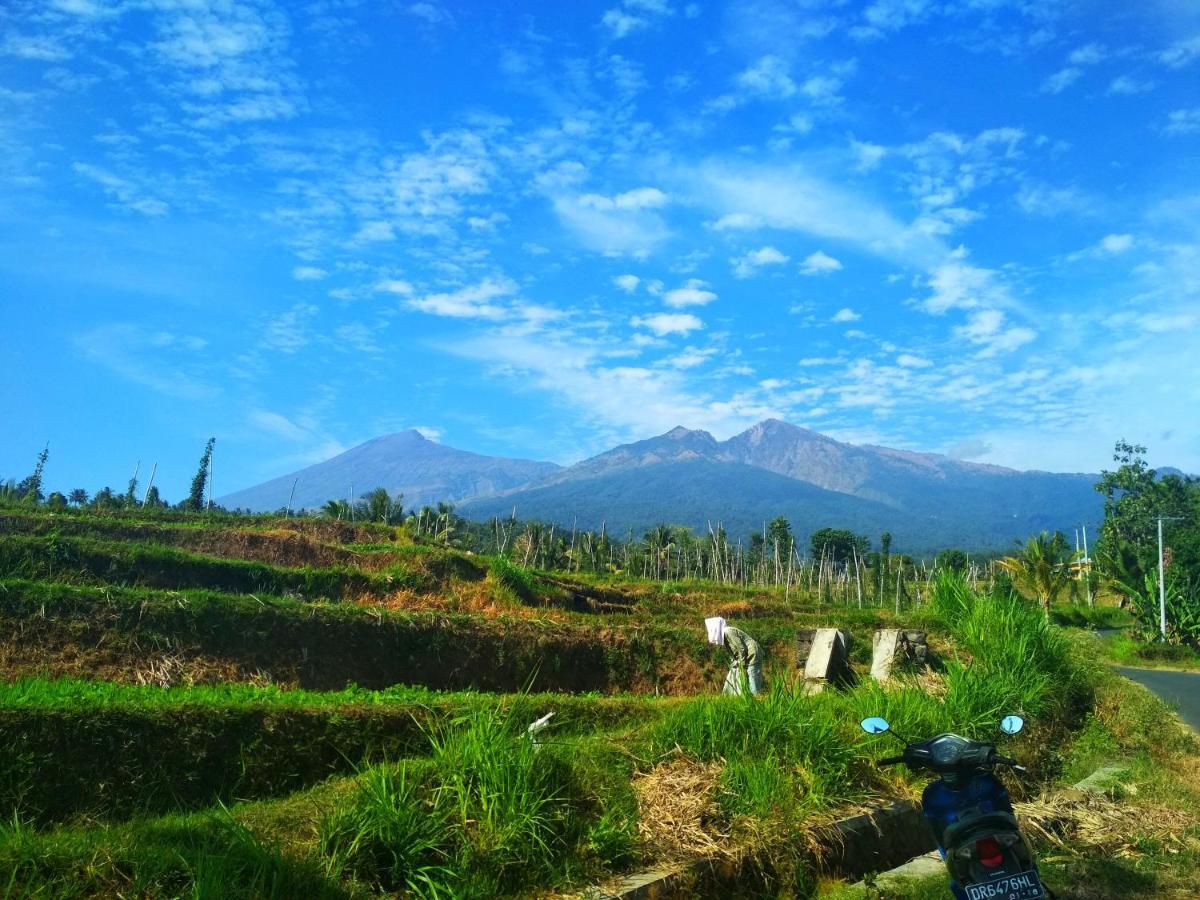 Budaya Kaki Rinjani Senaru Eksteriør billede