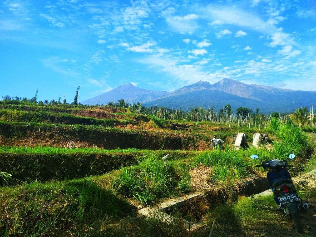 Budaya Kaki Rinjani Senaru Eksteriør billede